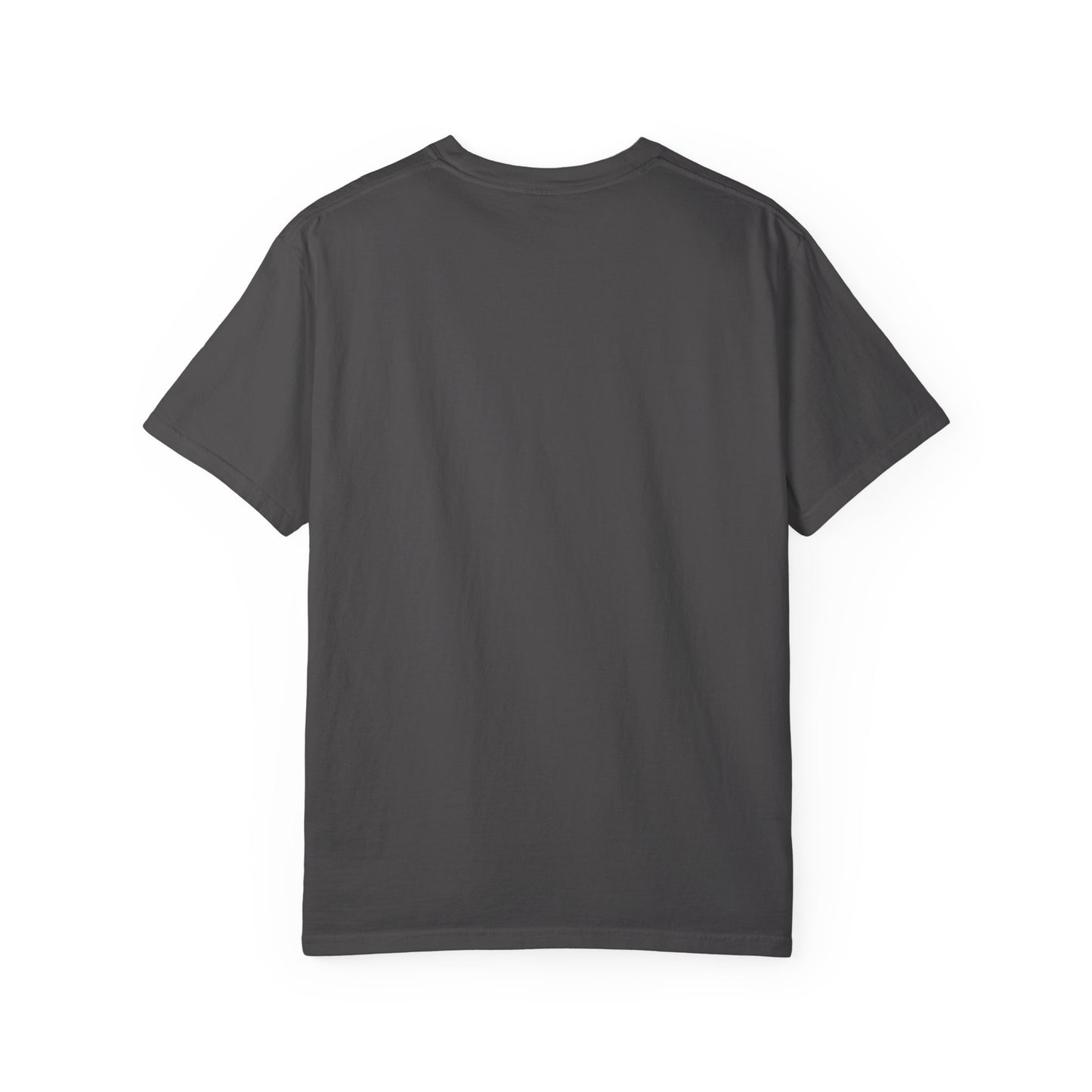 Original Sunset Seeker Brand T-Shirt, We Love Sunsets, Sunset Lover Shirt, Sunset Chaser, Graphic Tee, Summer T-Shirt